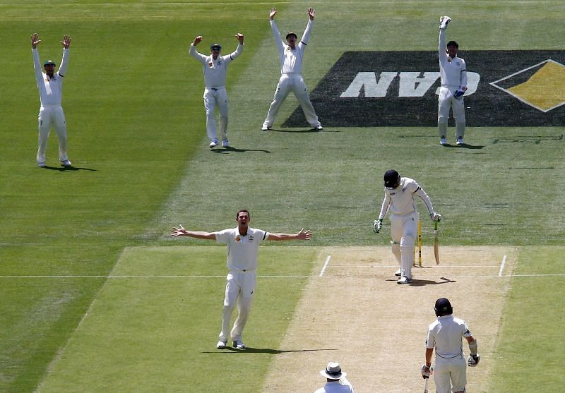 Josh Hazlewood successfully appealing for Martin Guptill's sismissal